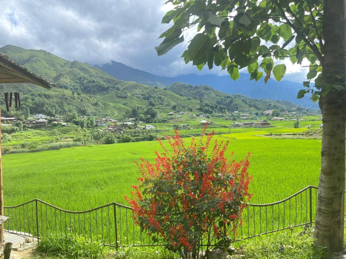 Sapa Bamboo Eco Pensionat Exteriör bild