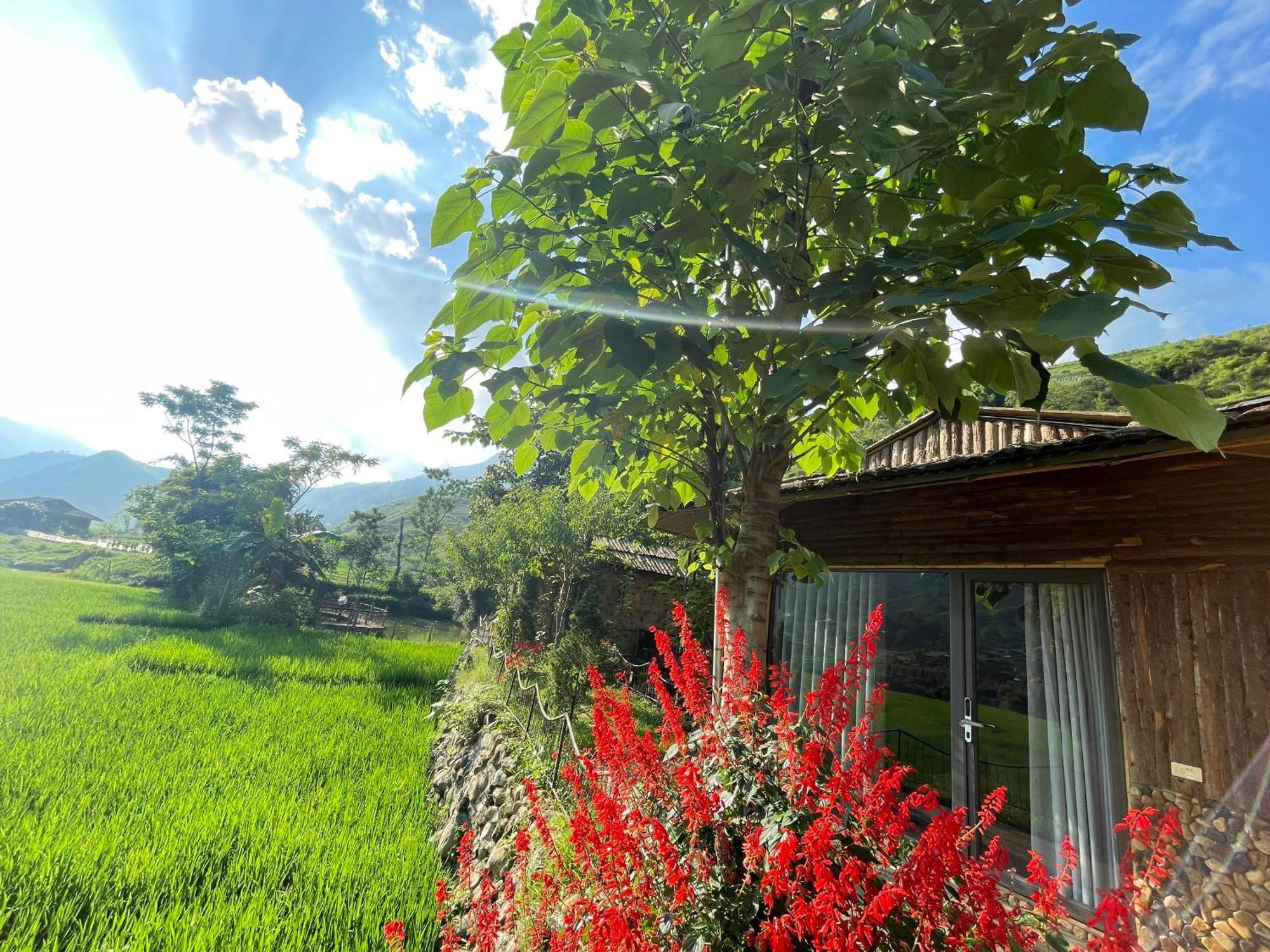 Sapa Bamboo Eco Pensionat Exteriör bild