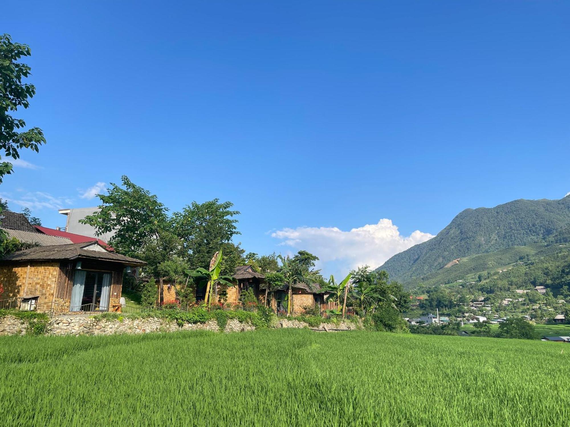 Sapa Bamboo Eco Pensionat Exteriör bild