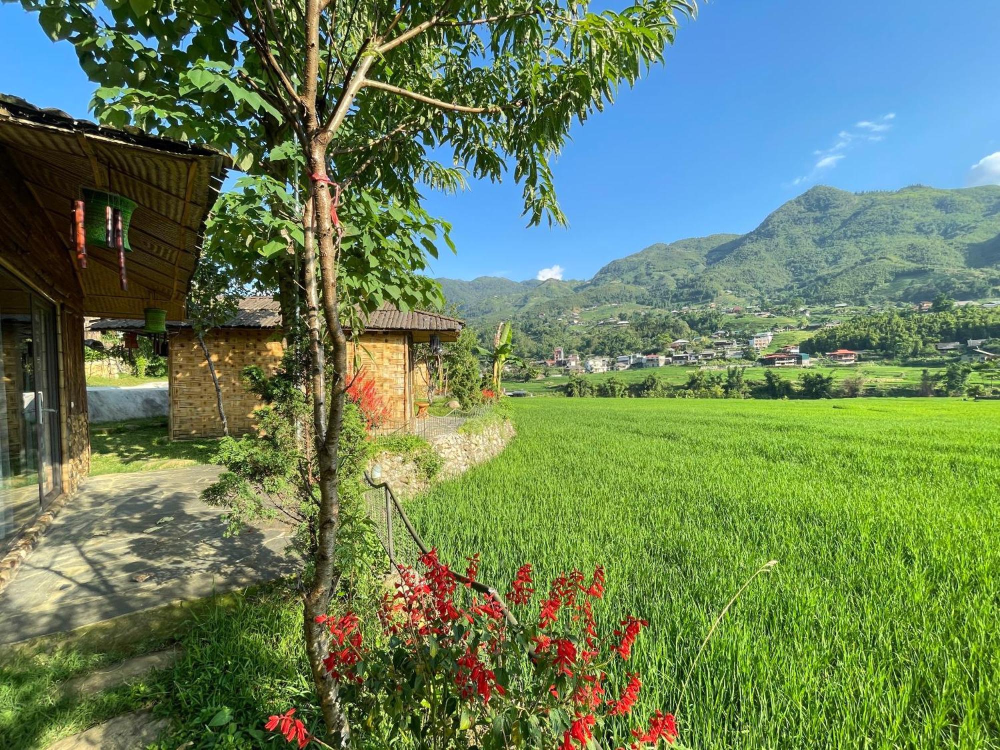 Sapa Bamboo Eco Pensionat Exteriör bild