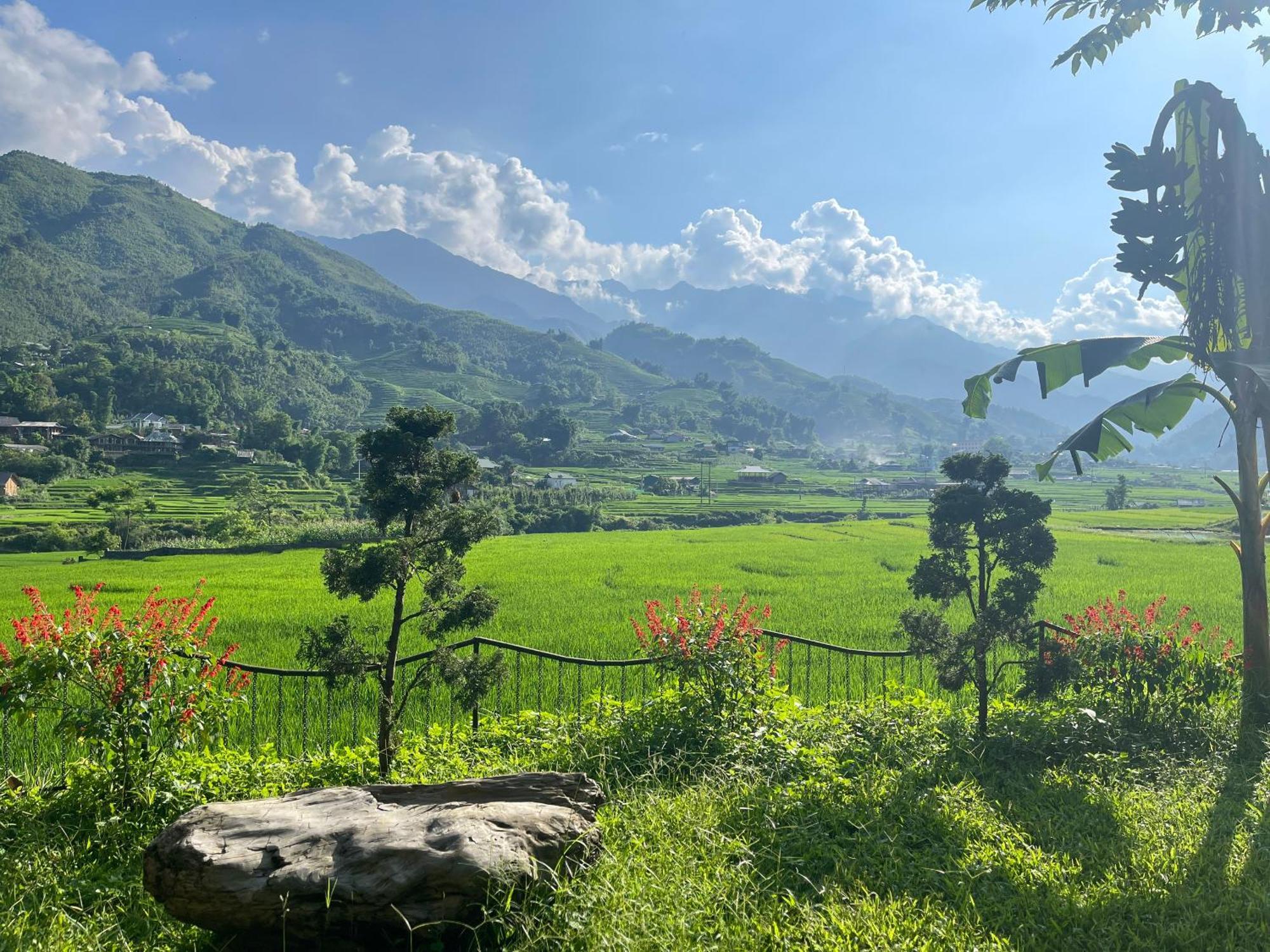 Sapa Bamboo Eco Pensionat Exteriör bild