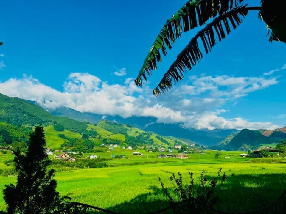 Sapa Bamboo Eco Pensionat Exteriör bild